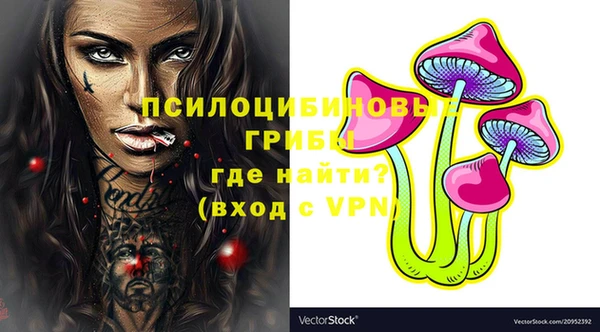 ALPHA PVP Нягань