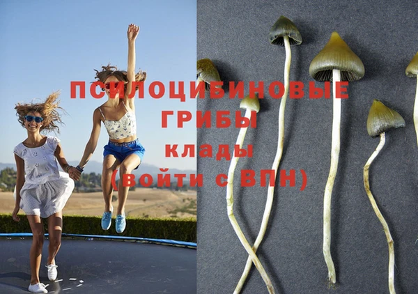 ALPHA PVP Нягань
