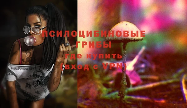 ALPHA PVP Нягань
